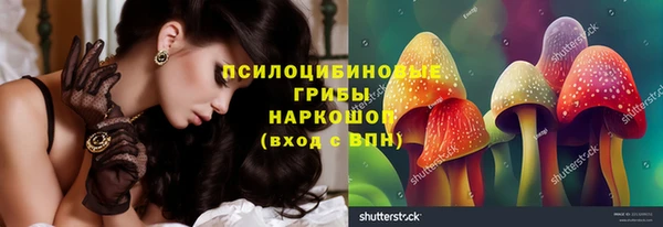мдпв Балабаново